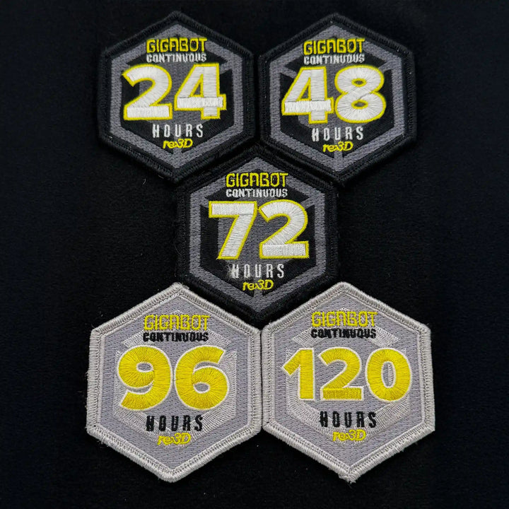 re:3D/Gigabot Flight Patches