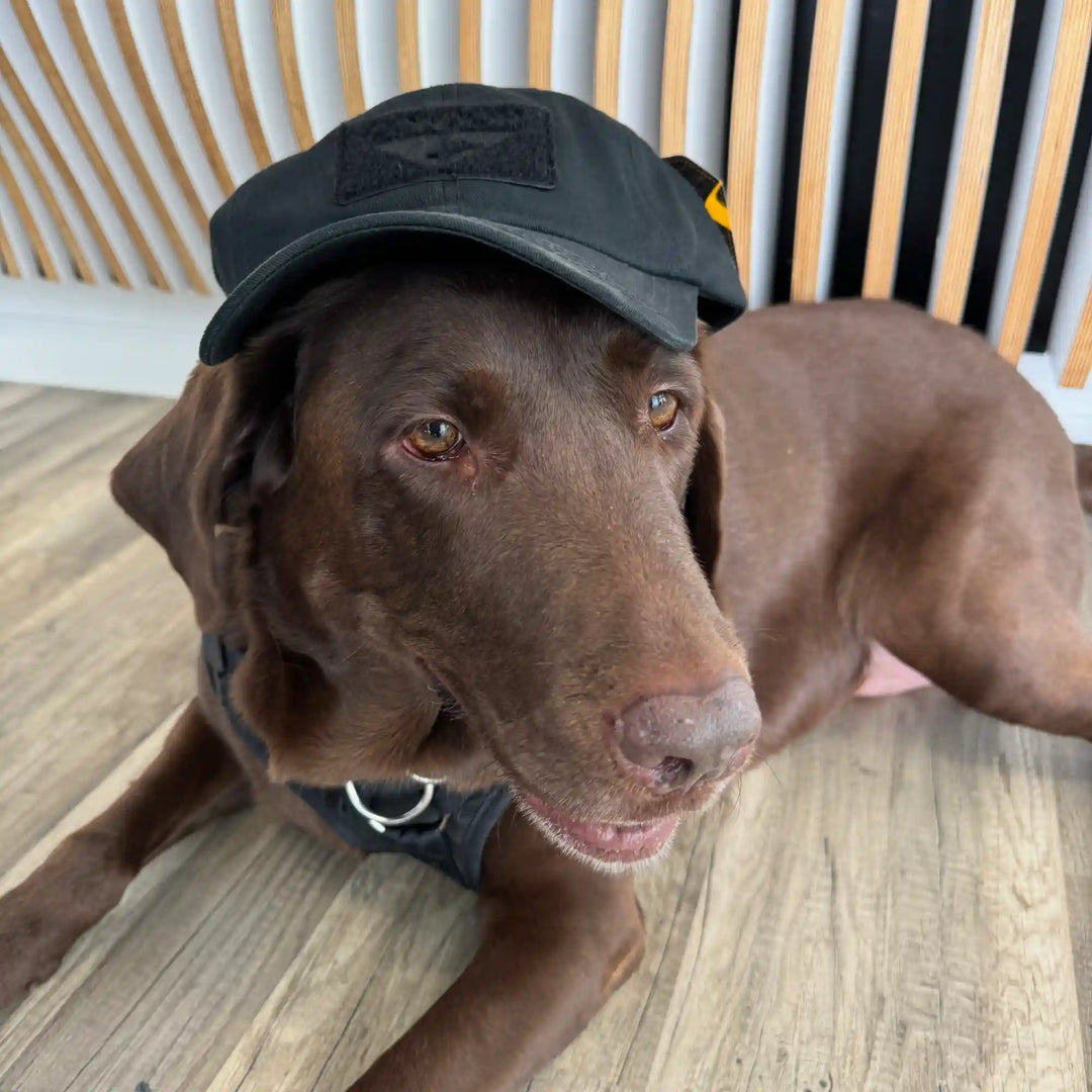 re:3D Tactical Hat