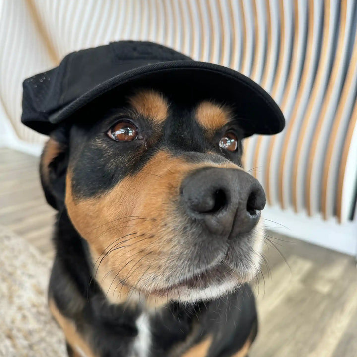 re:3D Tactical Hat